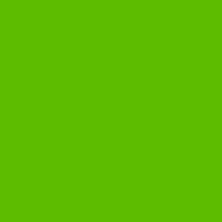 Adhésif brillant uni vert pomme en rouleau de 45 cm x 15 m