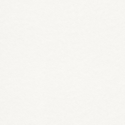 165814 - Papier à Peindre Wallton Profivlies