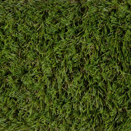 Gazon Evergreen vert 4m