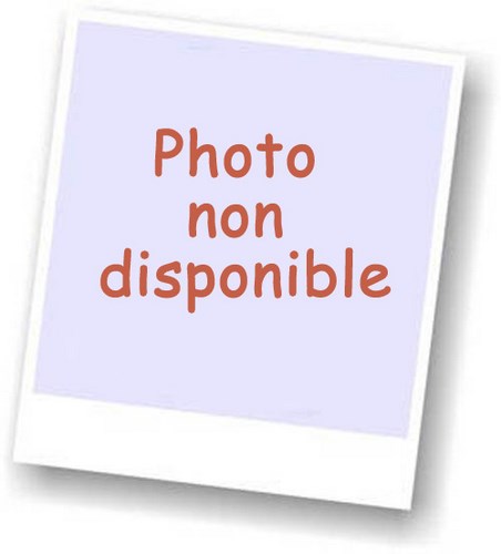 Durcisseur Pour IMPA PLASTUK LEGNO, 45g