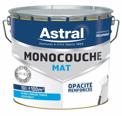 Peinture acrylique monocouche mate blanc base white 10L