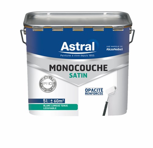 Peinture acrylique monocouche satinée blanc base white 5L