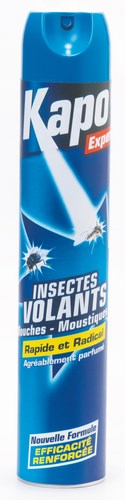 Anti Insectes volants, aérosol 750ml