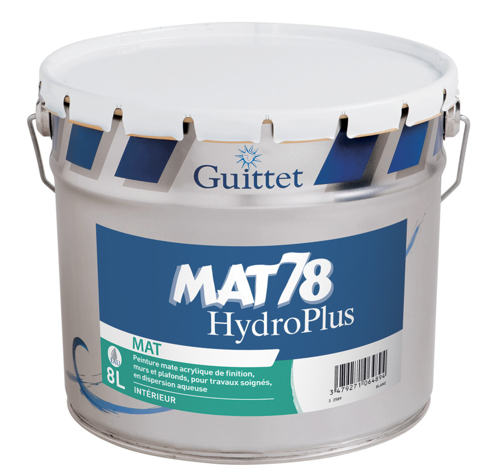 Peintures intérieures et traitement des murs