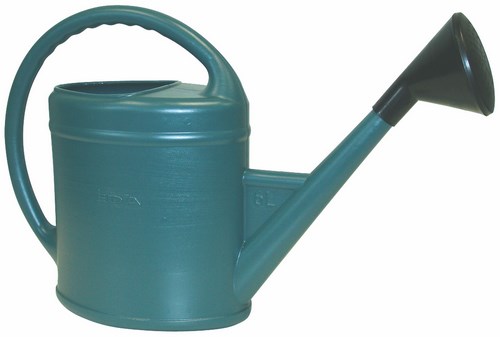 Arrosoir ovale parisien en métal vert de 6 litres avec pomme d'arrosage