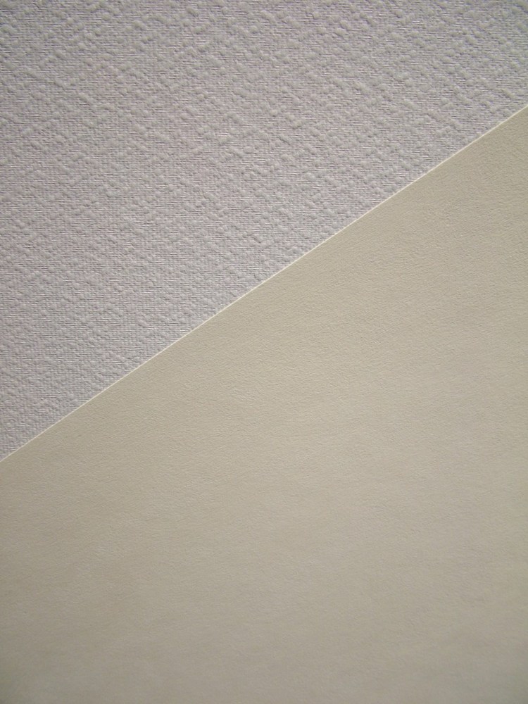 Voile de Rénovation Prépeint blanc GV250CR, rouleau de 15x1m