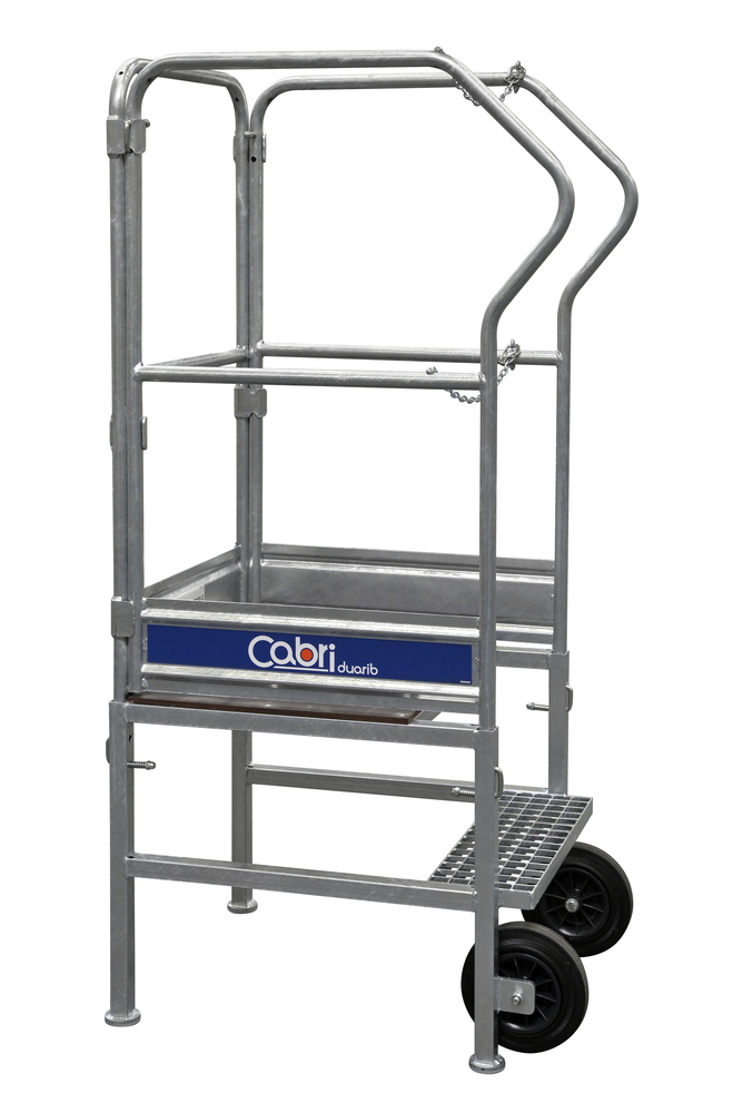 Plateforme individuelle Cabri en aluminium avec garde-corps de sécurité