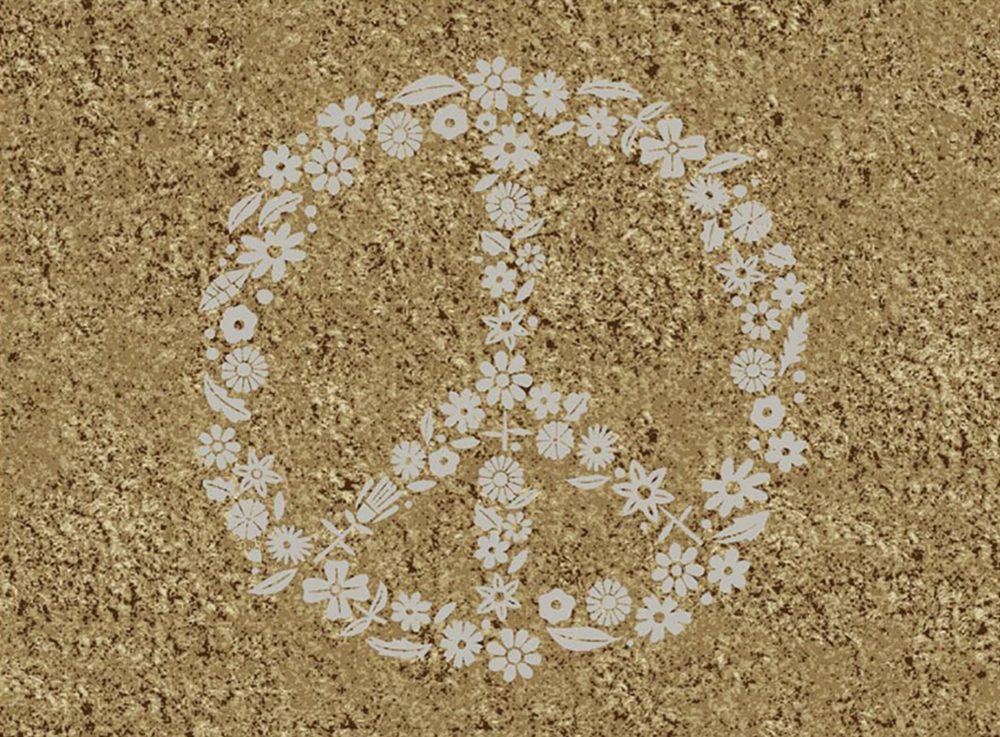 Tapis Country Faux Coco D2679-5 55x70cm sans bordure