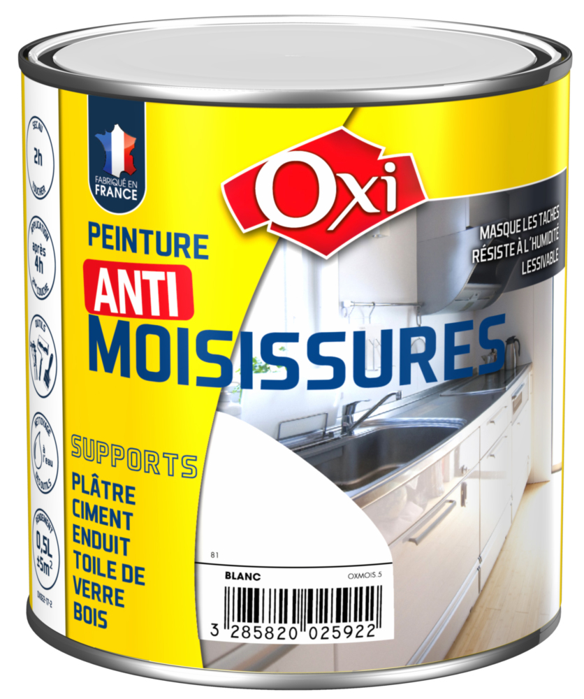 Peinture Antimoisissures Blanc Satinée 0.5L