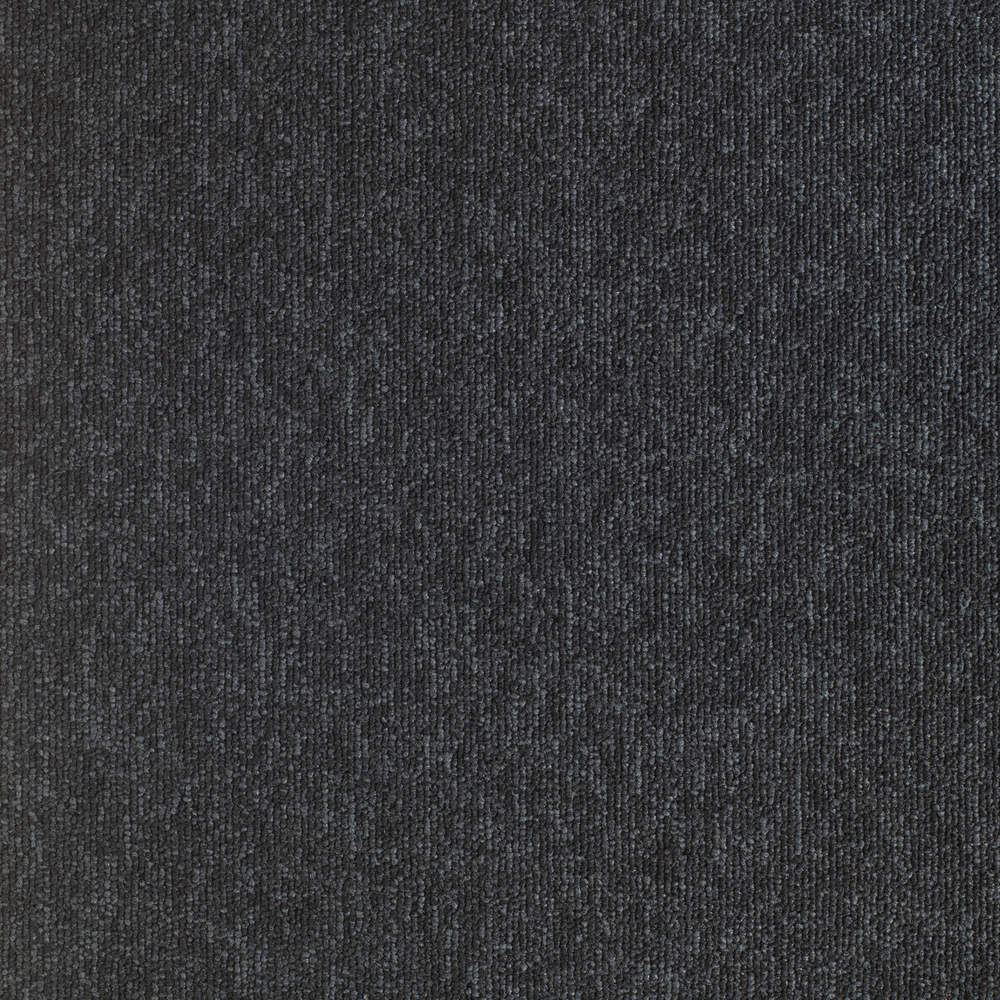 Dalle moquette Dalrama 33 Pilote² SC 995 texture bouclée