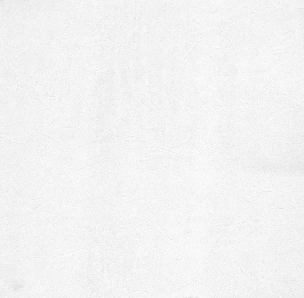 13607-10 Expansé Vinyl sur Intissé Taloché Blanc 2018 