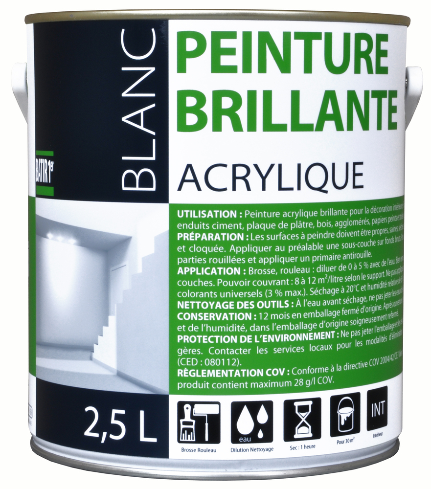 Batir 1er Peinture Acrylique Brillante 2.5L