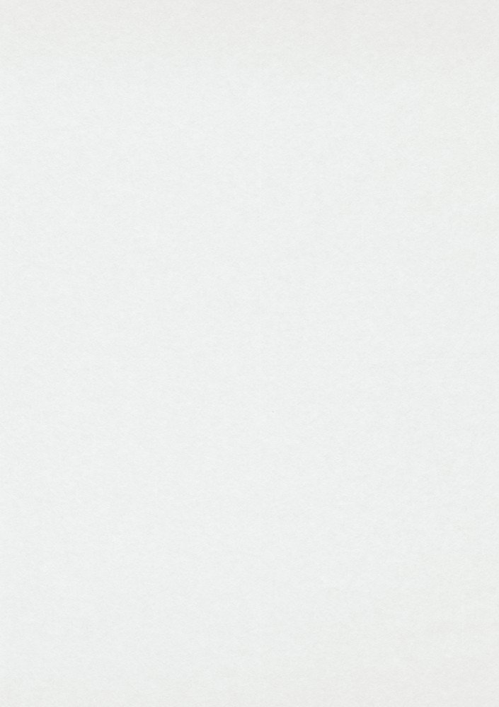 Voile de Rénovation 150g blanc, rouleau de 0.75 x 25 mètres pour la préparation des murs à peindre