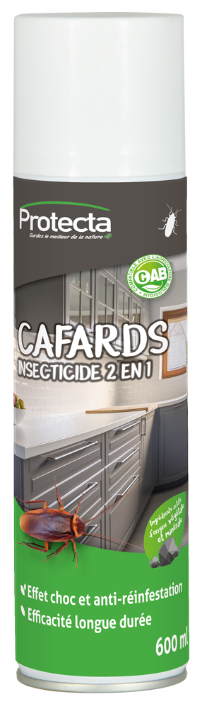 Cafards Insecticide 2en1 aérosol 600ml TP18