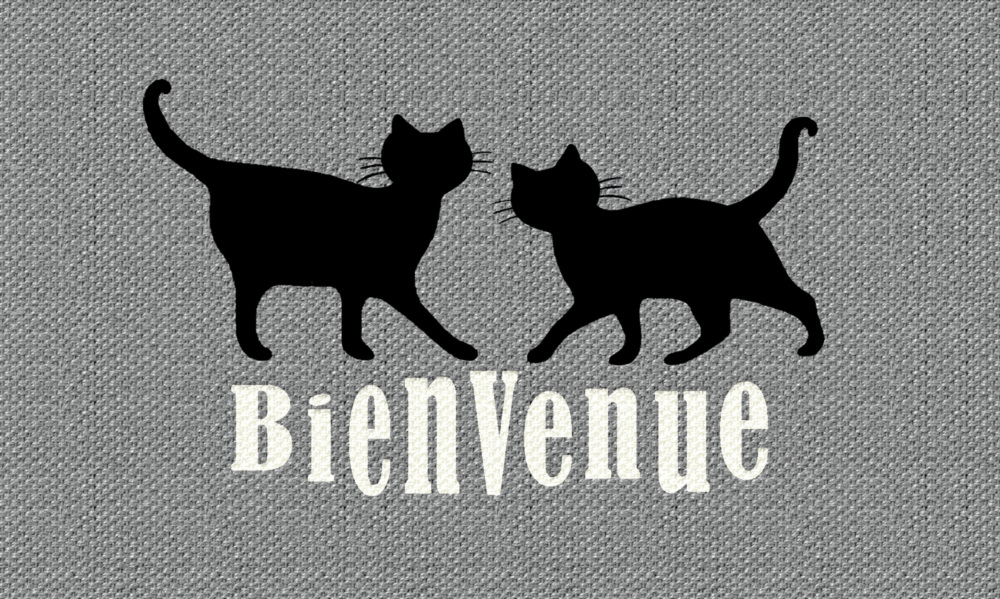 Tapis Patio Bienvenue Chat 45 x 75 cm