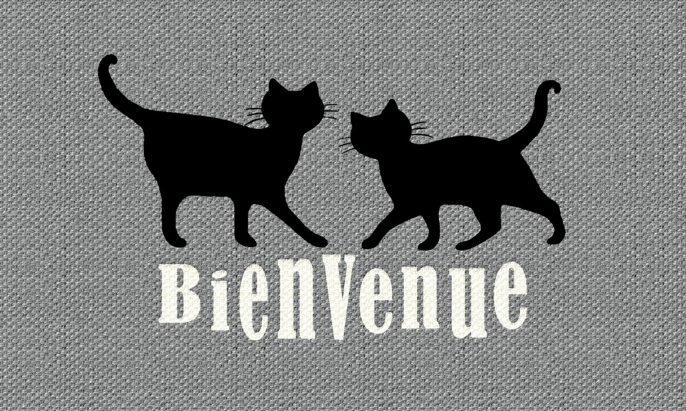 Tapis Patio Bienvenue Chat 45x75cm