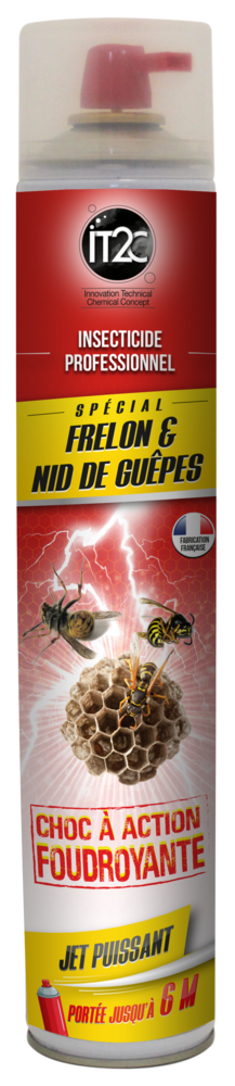 IT2C Insecticide Professionnel Frelon et Nid de Guêpe Longue Portée 750ml