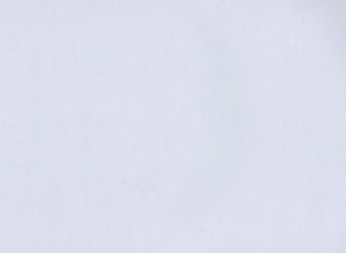 21022 Adhésif Classic Fresne Blanc 45cmx1.5m