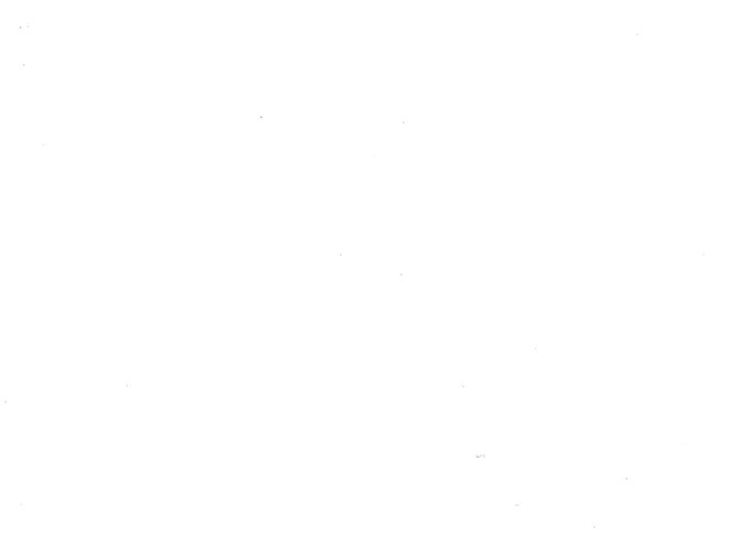 21030 Adhésif Classic Blanc 45cmx1.5m