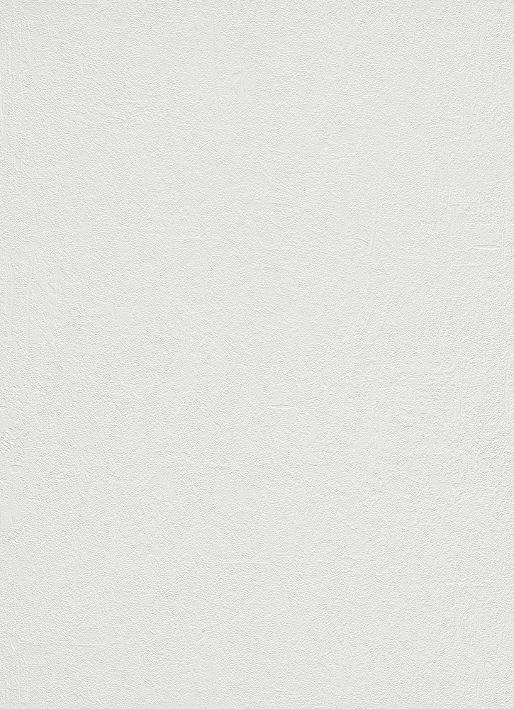 Papier peint vinyle expansé 5858 uni blanc, avec surface texturée et finition mate
