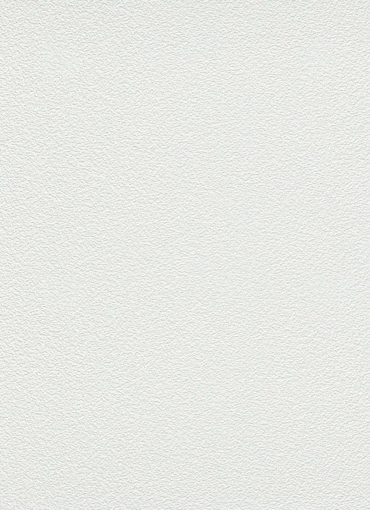 Papier peint vinyle expansé sur papier uni blanc