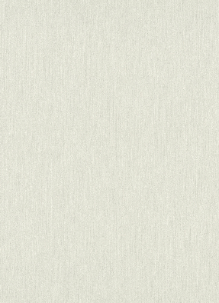 Papier peint vinyle uni gris clair, surface lisse, référence 5871