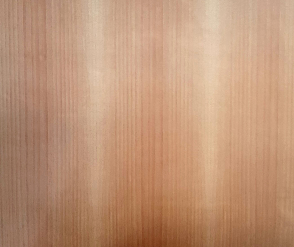 Adhésif décoratif imprimé motif sapins de Noël classique, 45 cm x 1.5 m