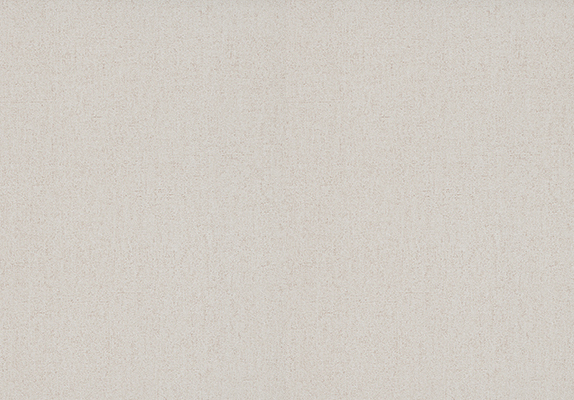 Papier Peint Vinyle Expansé sur Intissé Uni Beige