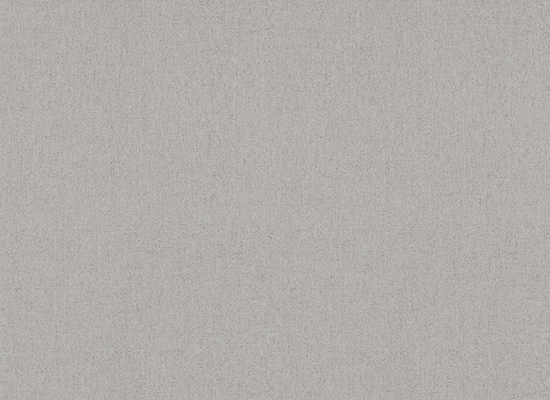 Papier Peint Vinyle Expansé sur Intissé Uni Taupe