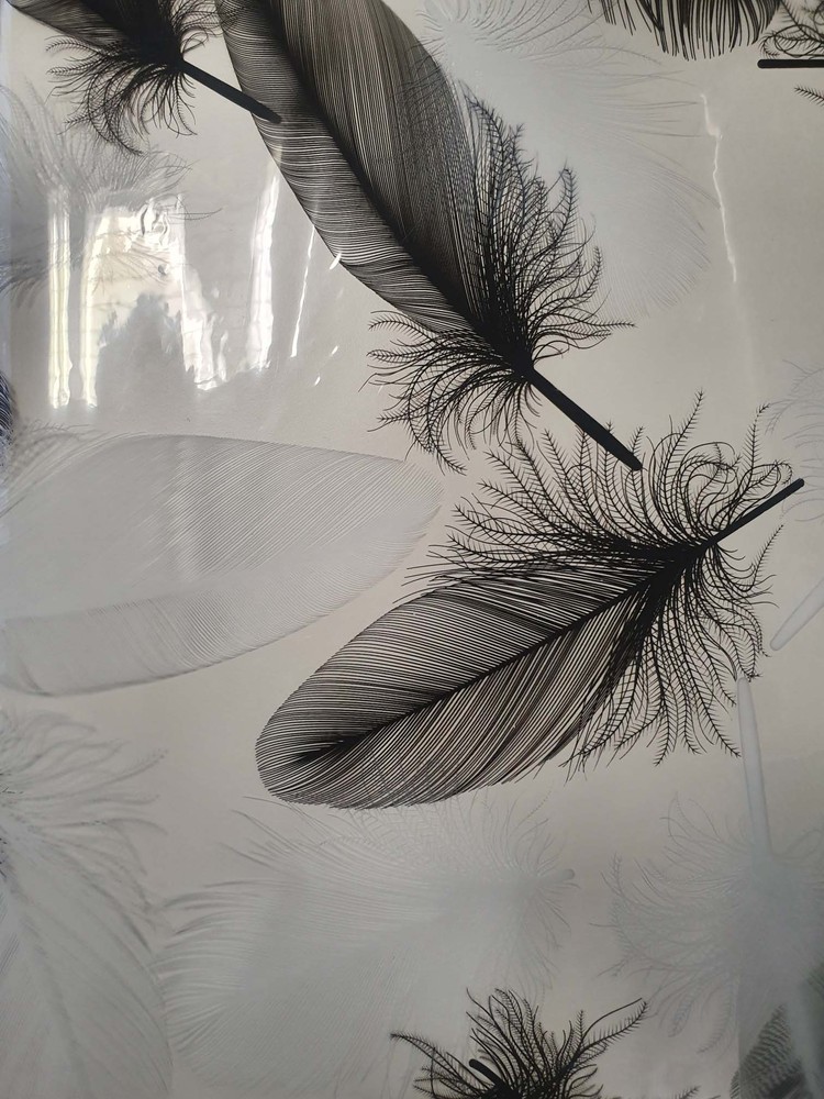 Cristal Imprimé Plume 140 cm x 20 m Noir