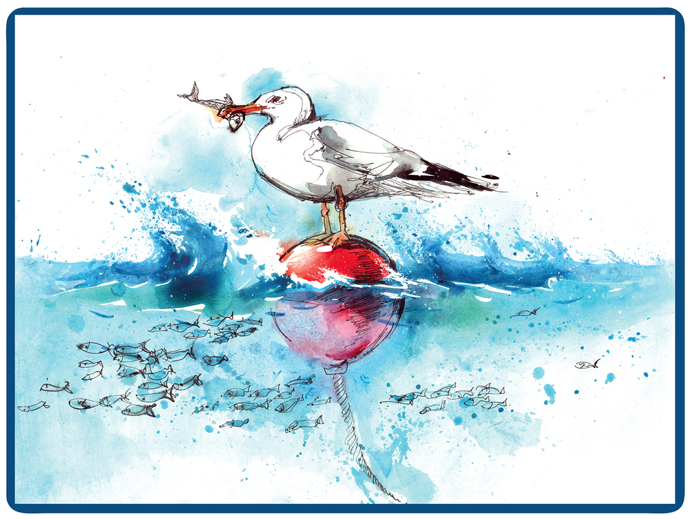 Set de Table 40 x 30 cm Mouette