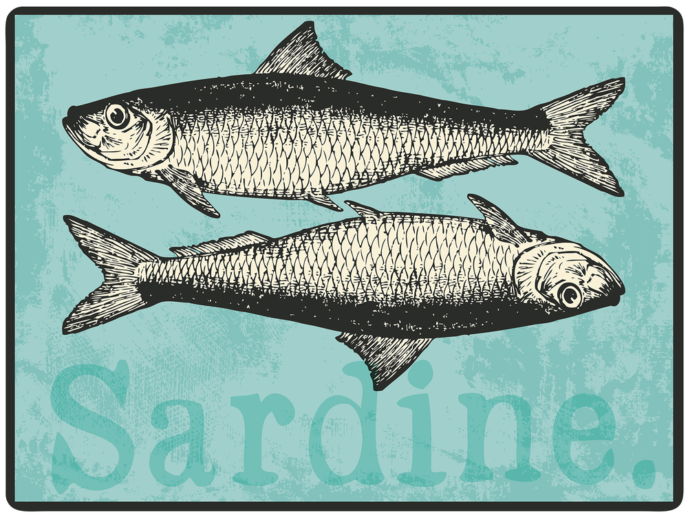 Set de Table 40 x 30 cm Sardine