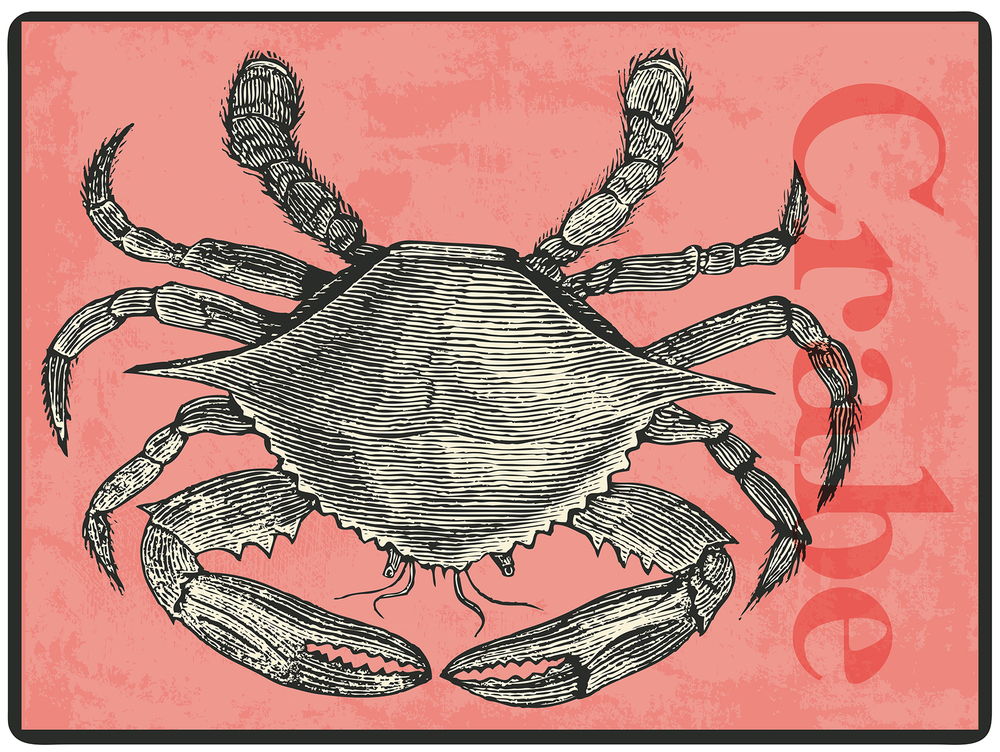 Set de Table 40x30cm Crabe