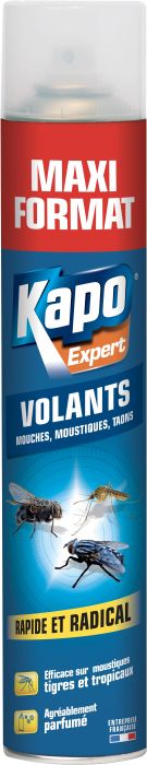 Aérosol Insectes Volants 500 ml