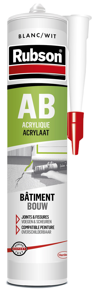Mastic Acrylique AB Blanc Cartouche 300ml RUBSON