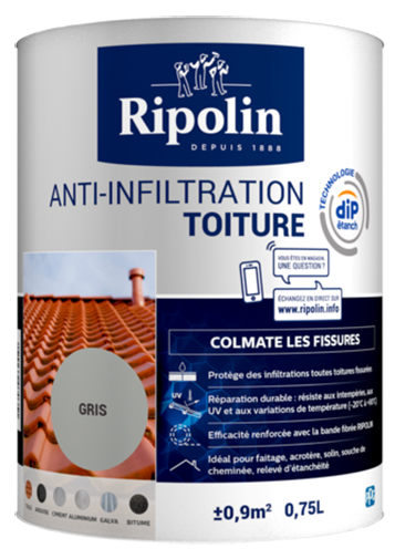 Traitement anti-salpêtre DIP 2.5 L