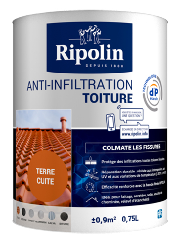 Traitement Anti-salpêtre JULIEN 0.75L Incolore