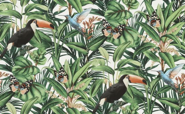 Papier peint vinyle grainé sur intissé motif Toucan Blanc, finition texturée