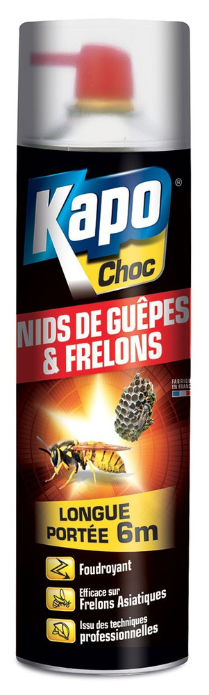 Anti Guêpes Foudroyant Aérosol 500 ml TP18