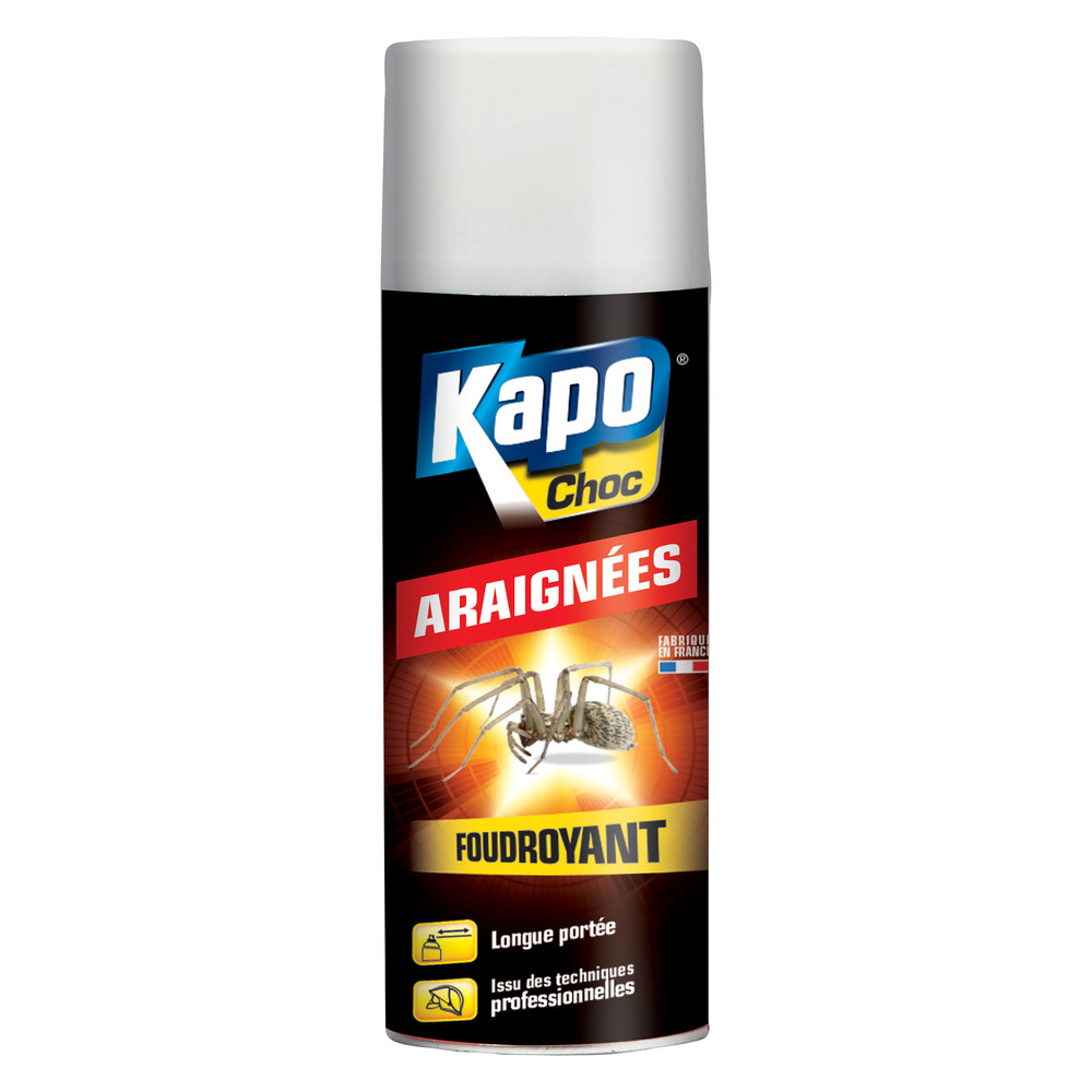 Anti Araignées Foudroyant Aérosol 400 ml TP18