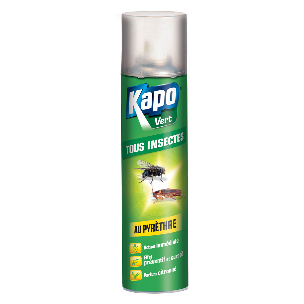 Aérosol Tous Insectes au Pyrèthre 300 ml TP18