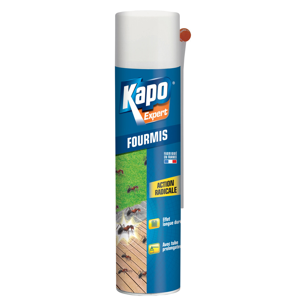 Aérosol Fourmis 400 ml TP18