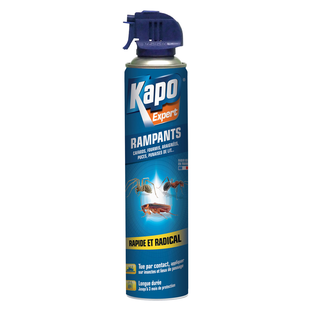 Anti Insectes Rampants Aérosol 400 ml TP18