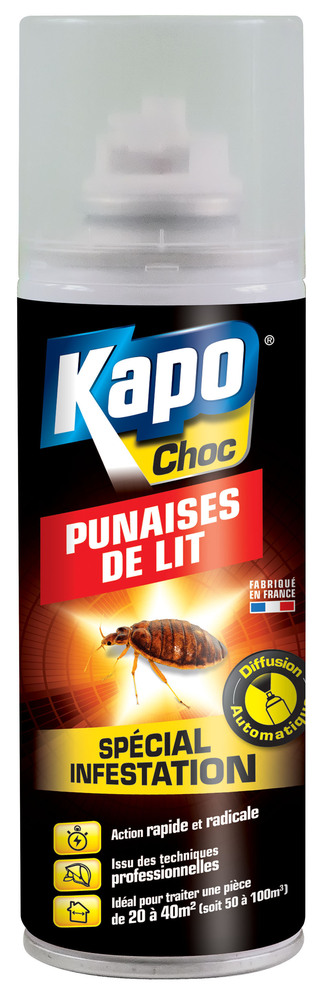 Aérosol Spécial Punaises de Lit 200 ml