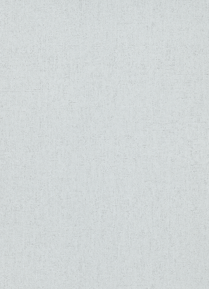 8004 - Vinyle Expansé sur Intissé Uni Gris Clair