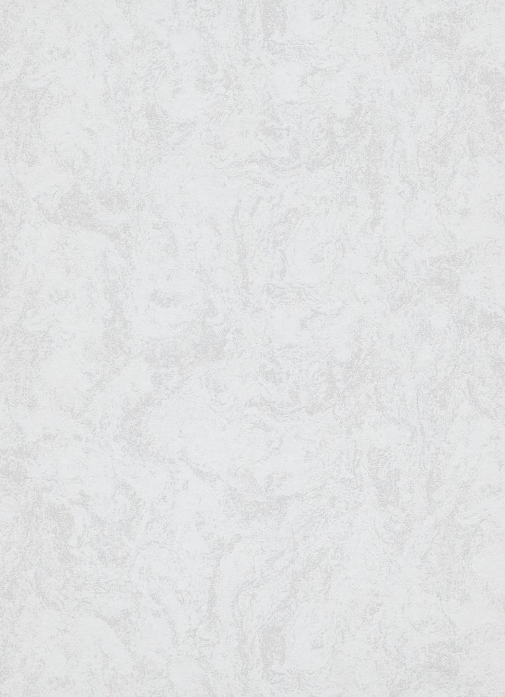 Papier peint vinyle expansé sur intissé uni gris clair, texture subtile.