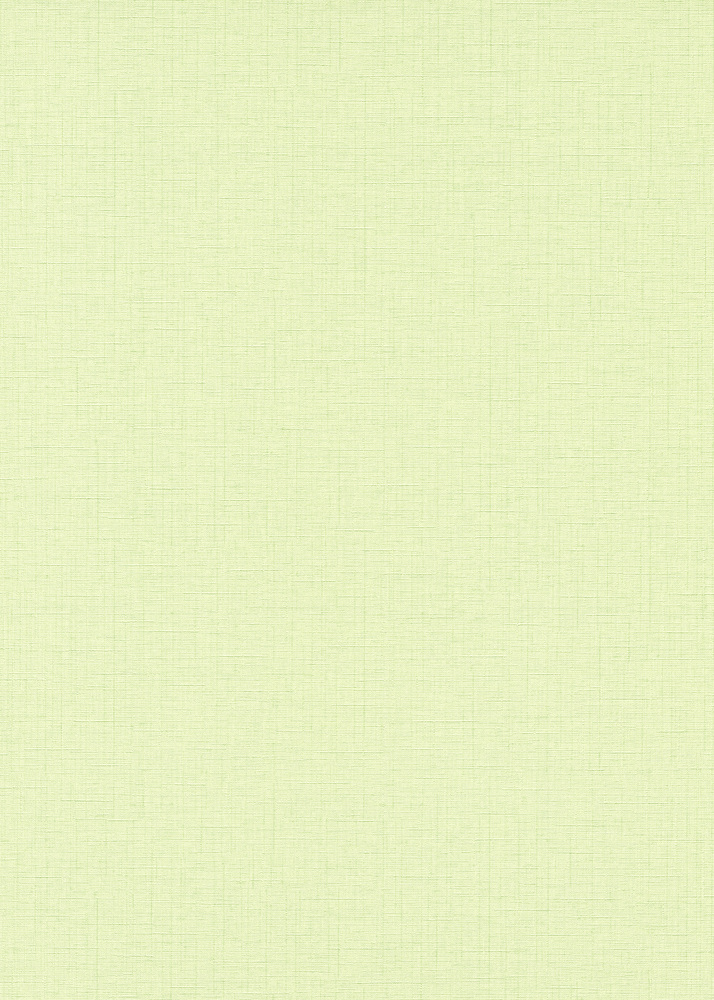 8412 - Vinyl Grainé sur Intissé Uni Vert Anis