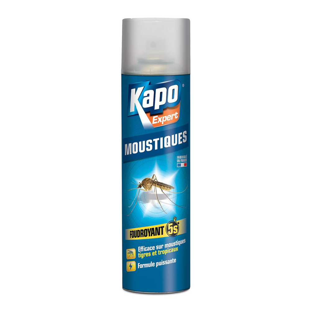Aérosol Spécial Moustiques Foudroyant 400 ml