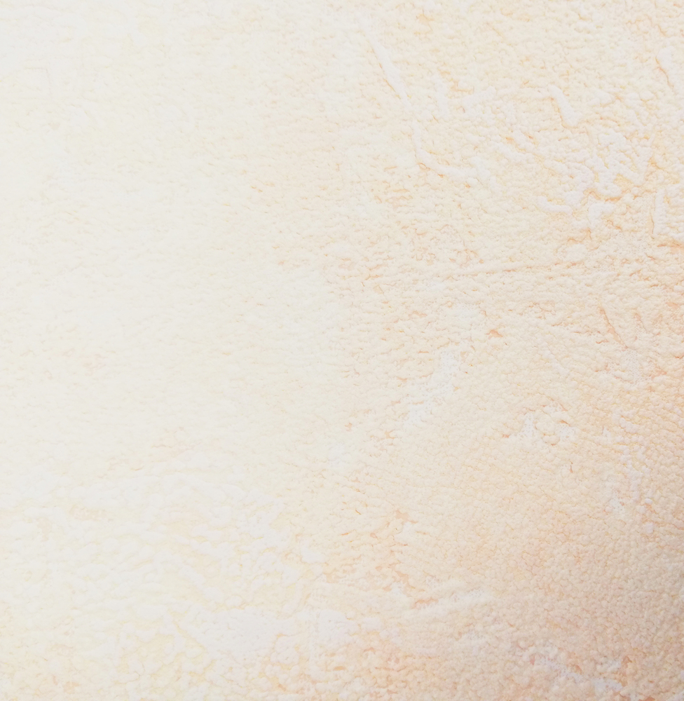 Revêtement mural vinylique 2424 GO Couleur, design moderne et durable