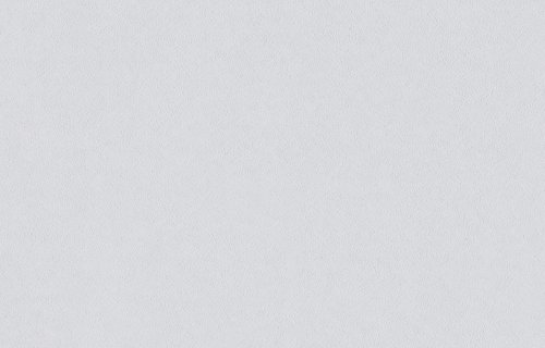 Rouleau de revêtement mural intissé Variovlies F170 PRO à peindre pour murs intérieurs